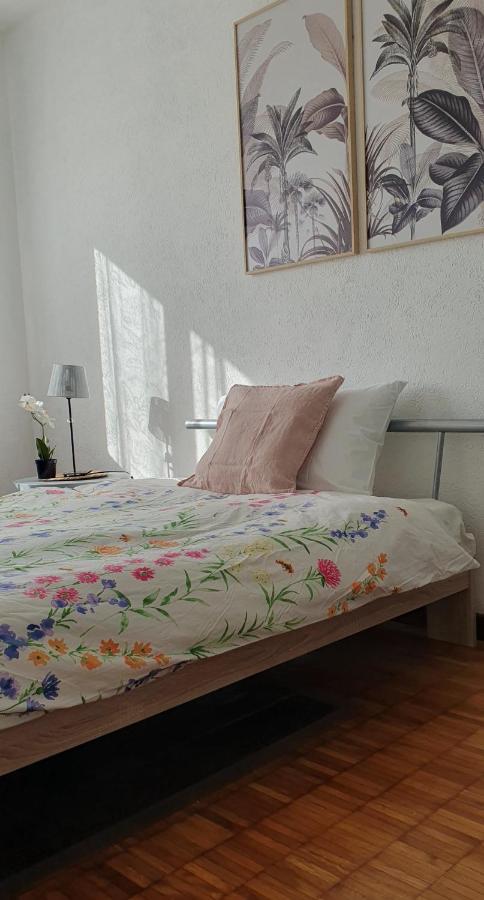 Charming Penthouse Near Como Lake Chiasso Esterno foto