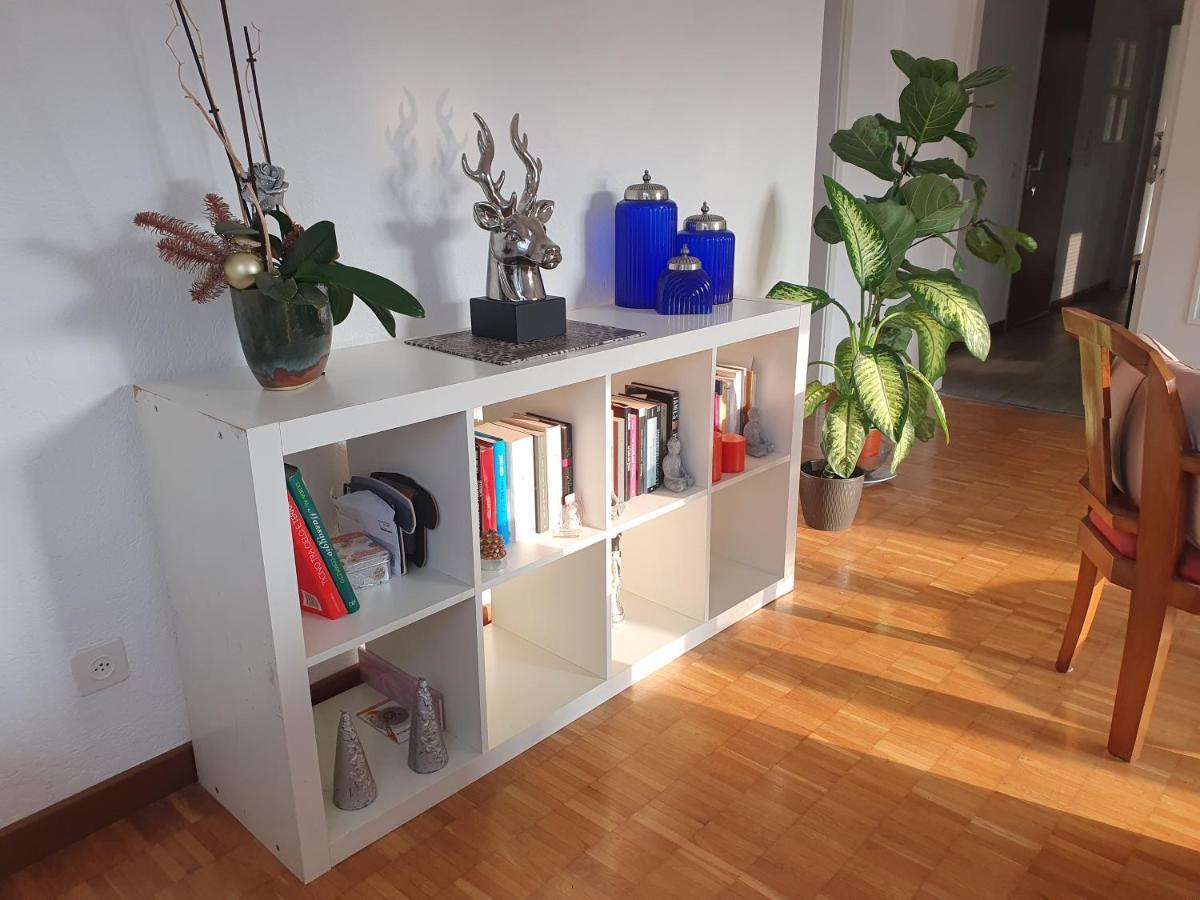 Charming Penthouse Near Como Lake Chiasso Esterno foto